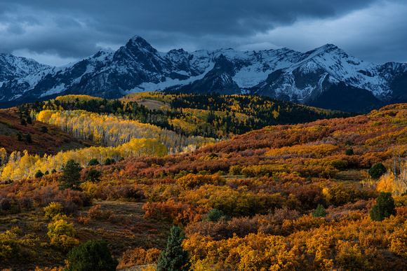 Aspen Light